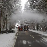 2019-schnee-baum.jpg